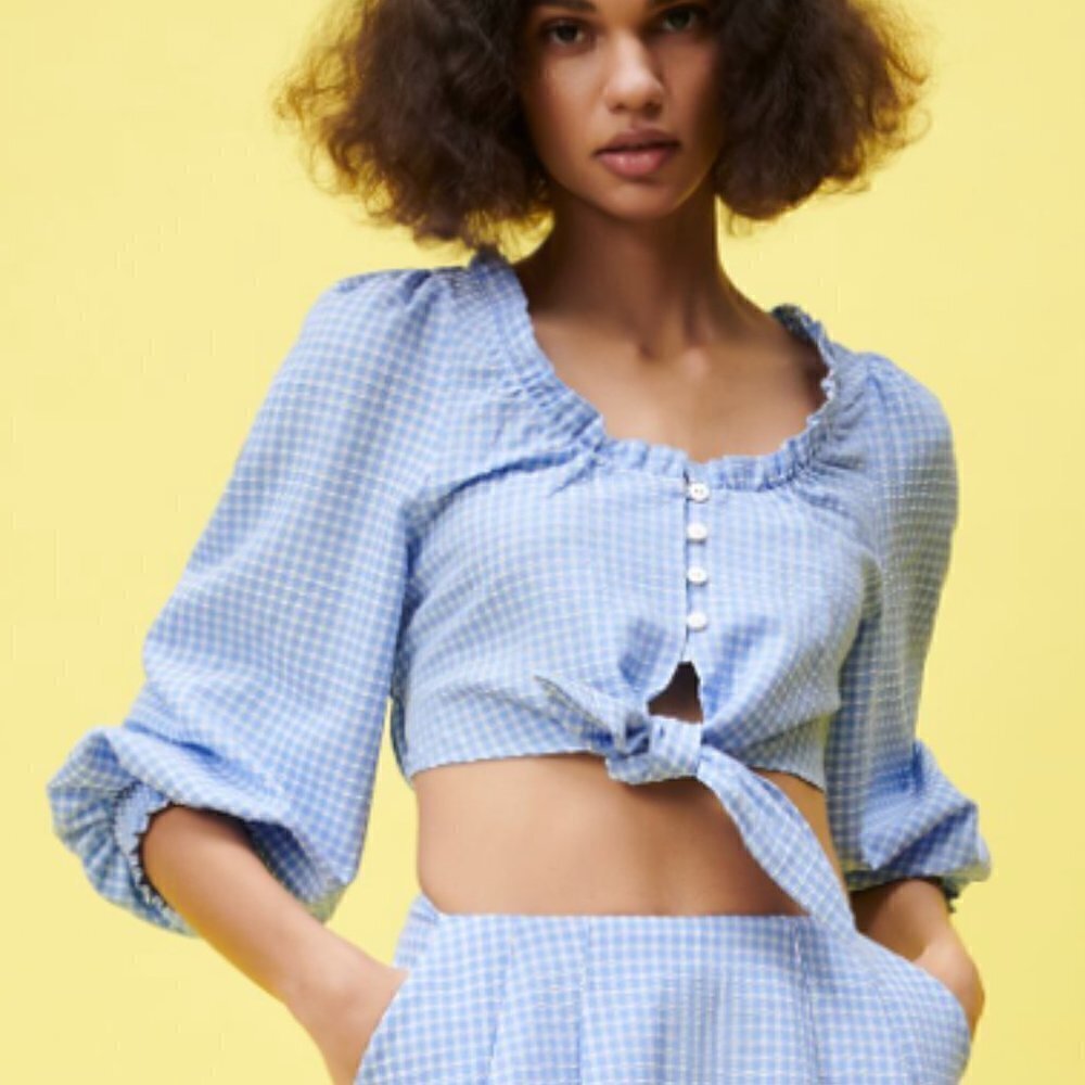 NWOT Zara Women's Size XS Blue Gingham Long Sleeve Crop Top